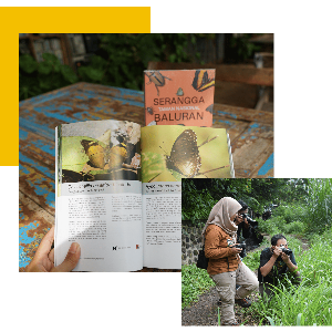 About Image